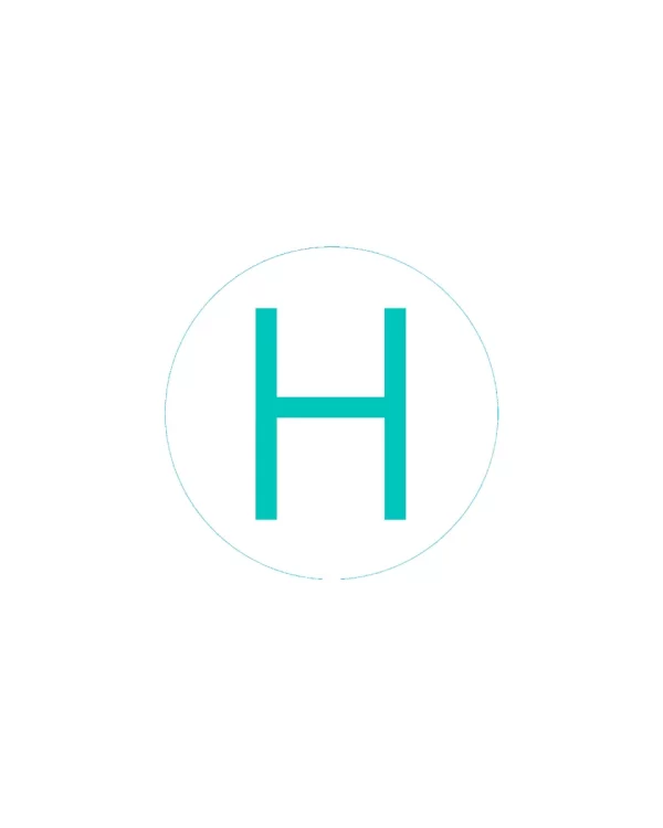 Bogg Bit - Initial "H"
