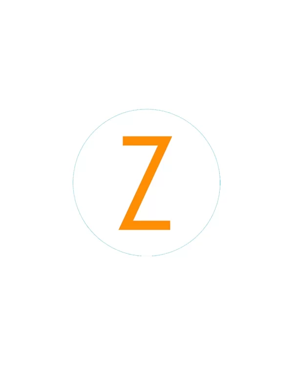Bogg Bit - Initial "Z"