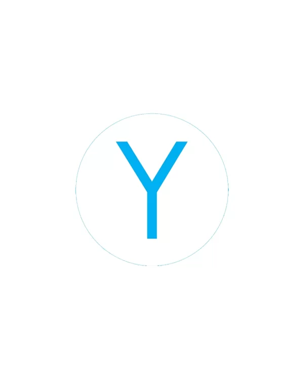 Bogg Bit - Initial "Y"